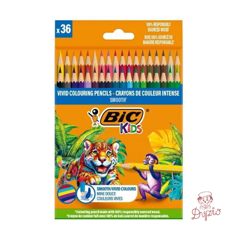 Kredki drewniane ECO SMOOTH 36 kolorów 525788 BIC