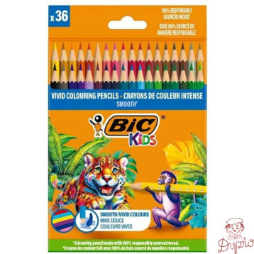 Kredki drewniane ECO SMOOTH 36 kolorów 525788 BIC