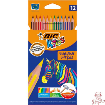 Kredki Eco Evolution Stripes 12kolorów 82902910 BIC