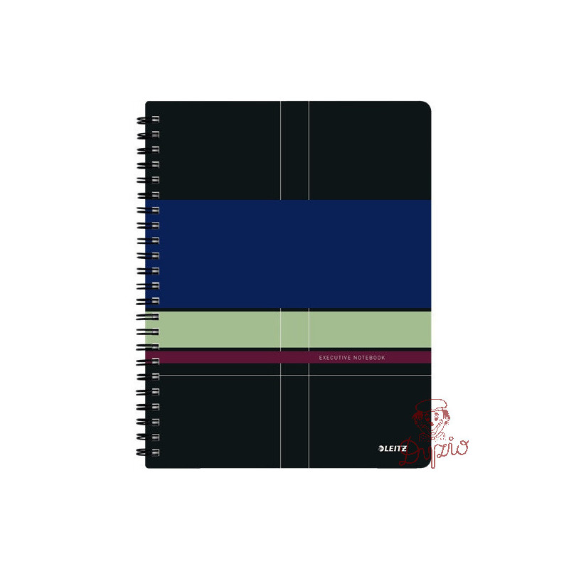 Kołonotatnik Get Organized EXECUTIVE A4 PP linia 44660000 LEITZ