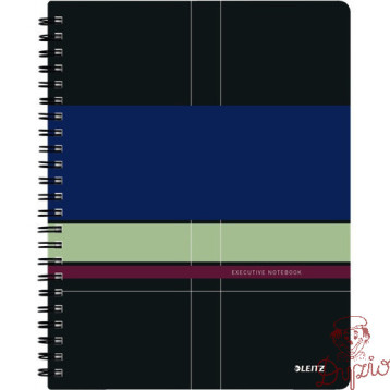 Kołonotatnik Get Organized EXECUTIVE A4 PP linia 44660000 LEITZ