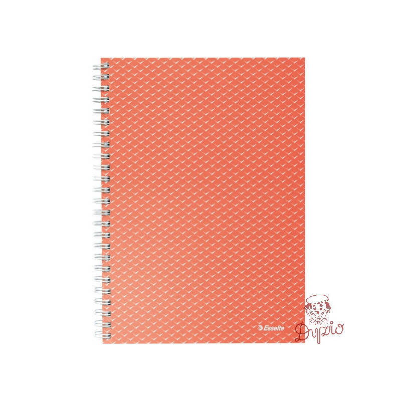 Kołonotatnik Colour`Breeze A5 w kratkę koralowy 628468 ESSELTE