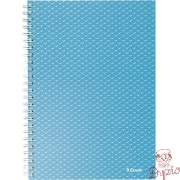Kołonotatnik Colour`Breeze A5 w kratkę niebieski 628466 ESSELTE