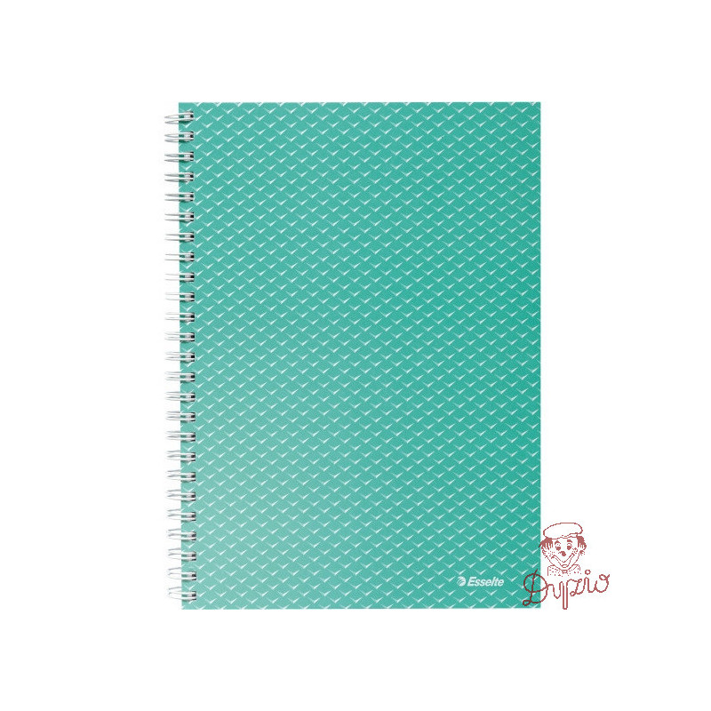 Kołonotatnik Colour`Breeze A5 w kratkę zielony 628467 ESSELTE