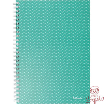 Kołonotatnik Colour`Breeze A5 w kratkę zielony 628467 ESSELTE