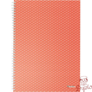 Kołonotatnik Colour`Breeze A4 w kratkę koralowy 628478 ESSELTE
