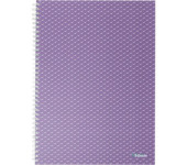 Kołonotatnik Colour`Breeze A4 w kratkę lawendowy 628479 ESSELTE