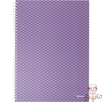 Kołonotatnik Colour`Breeze A4 w kratkę lawendowy 628479 ESSELTE