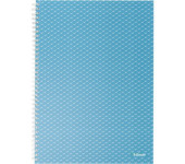 Kołonotatnik Colour`Breeze A4 w kratkę niebieski 628476 ESSELTE
