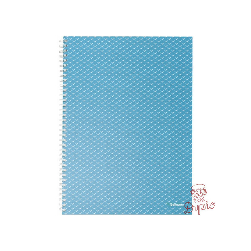 Kołonotatnik Colour`Breeze A4 w kratkę niebieski 628476 ESSELTE