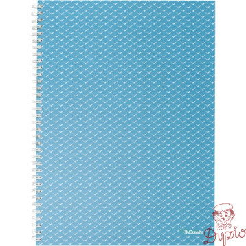Kołonotatnik Colour`Breeze A4 w kratkę niebieski 628476 ESSELTE