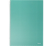 Kołonotatnik Colour`Breeze A4 w kratkę zielony 628477 ESSELTE