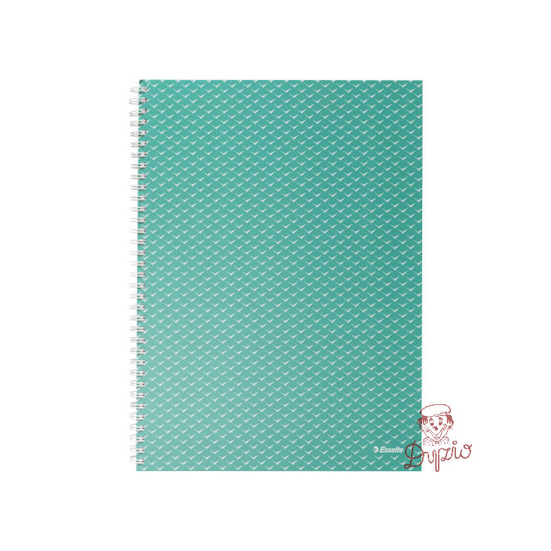 Kołonotatnik Colour`Breeze A4 w kratkę zielony 628477 ESSELTE