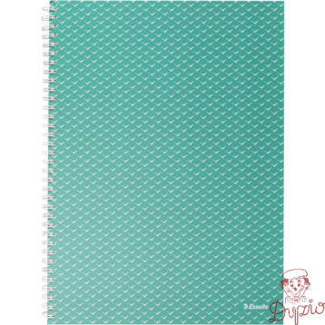Kołonotatnik Colour`Breeze A4 w kratkę zielony 628477 ESSELTE