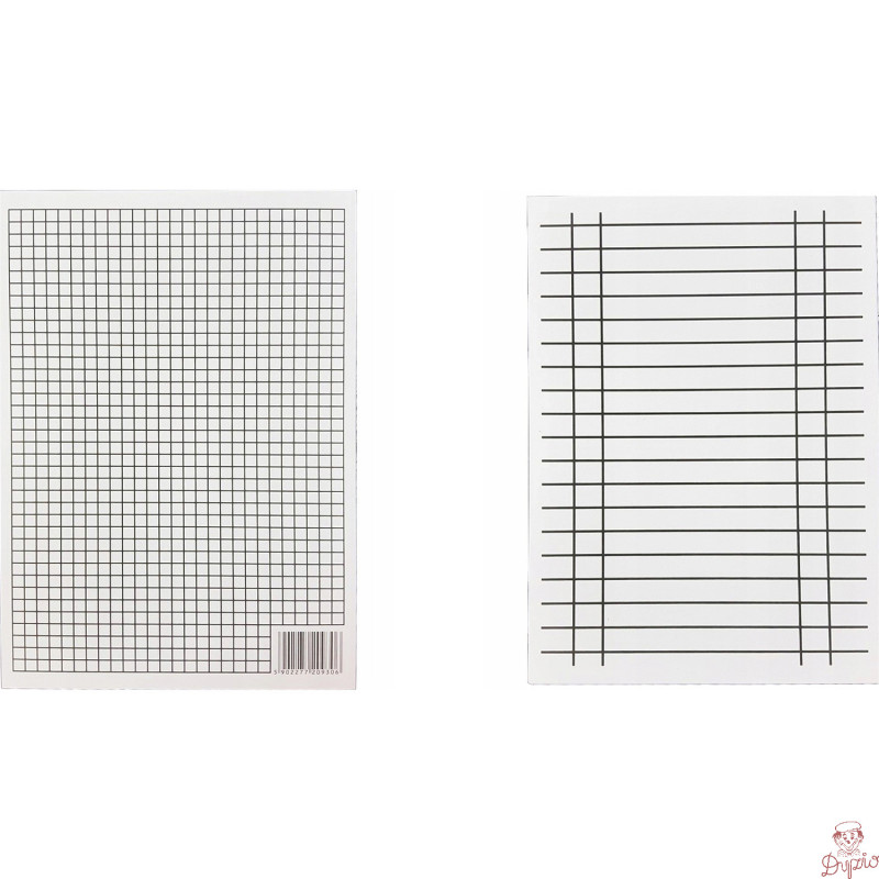 Liniuszek A4  /|| (10ark.) INTERDRUK