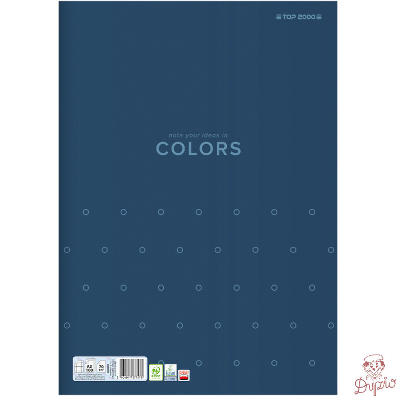 Papier kancelaryjny COLORS A3 100K kratka 400169246 TOP 2000