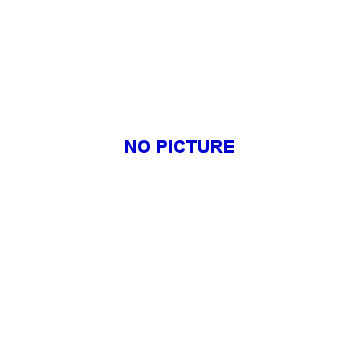 Brystol B2 foto morelowy nr 42 (10ark.) 300g.