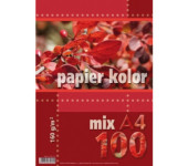 Papier ksero A4 160g KRESKA mix kolorów 100ark