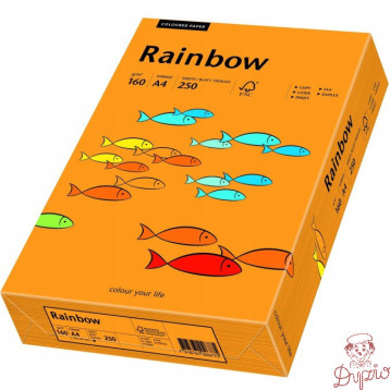 Papier ksero A4 160g RAINBOW R24 pomarańczowy 88042439