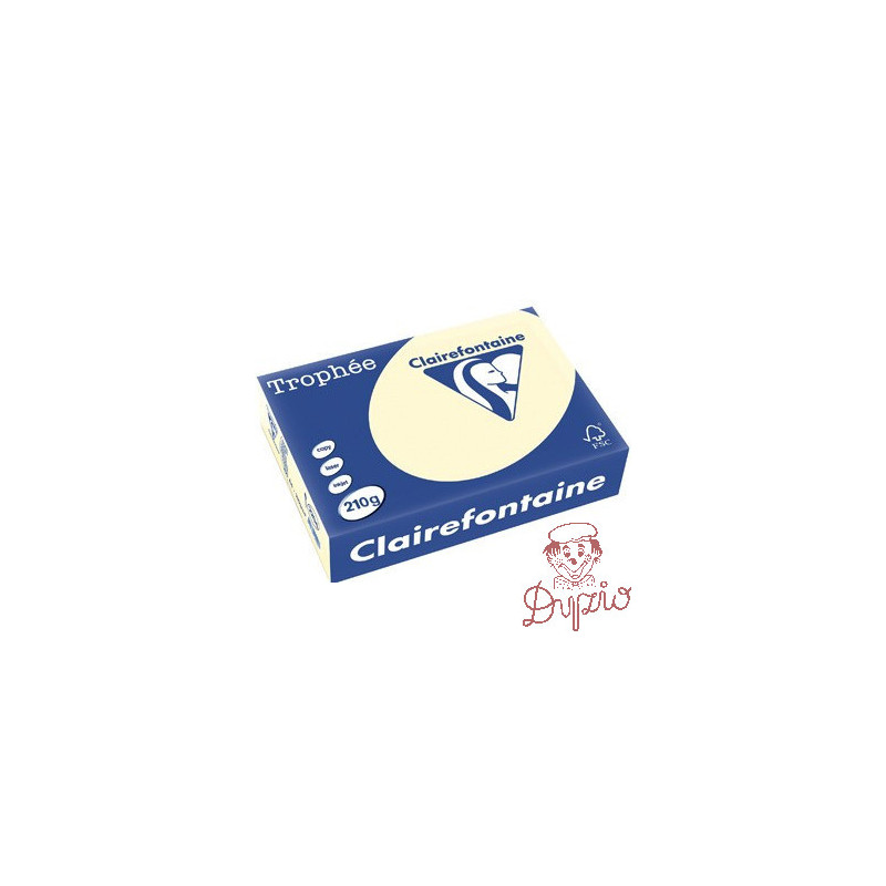 Papier ksero A4 210g 2204 piaskowy EMERSON
