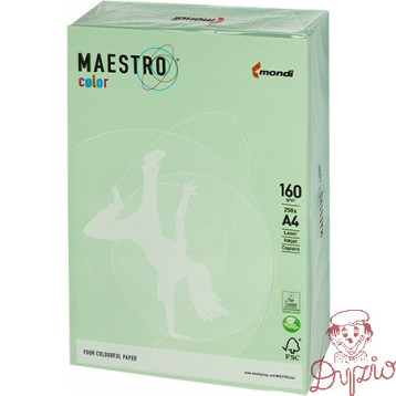 Papier ksero A4 160g MAESTRO COLOR MG28 pastel zielony 250a