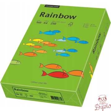 Papier ksero A4 160g RAINBOW R78 ciemny zielony 88042681