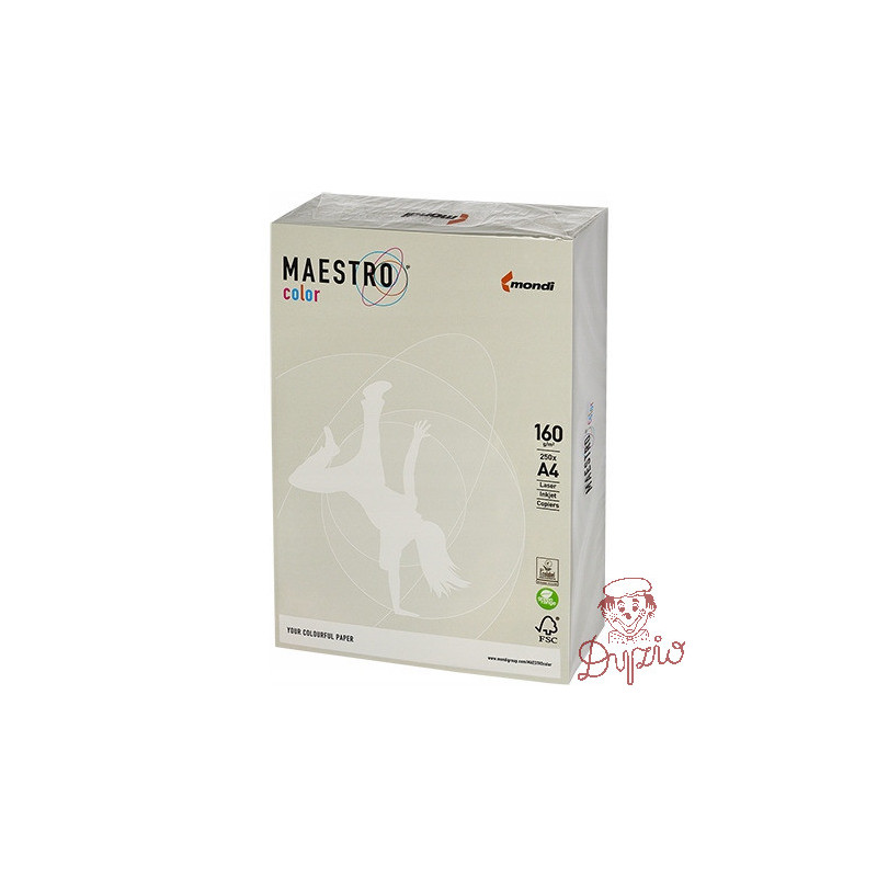 Papier ksero A4 160g MAESTRO COLOR GR21 szary 250a