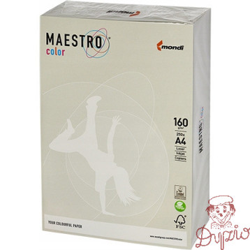 Papier ksero A4 160g MAESTRO COLOR GR21 szary 250a