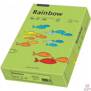 Papier ksero A4 160g RAINBOW R76 zielony 88042659
