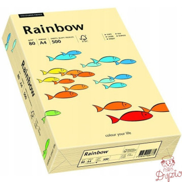 Papier ksero A4 80g RAINBOW R06 kość słoniowa 88042275