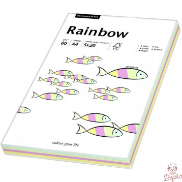 Papier ksero A4 80g RAINBOW mix pastelowy 100ark 88043187