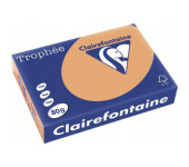 Papier ksero A4 80g TROPHEE brąz wielbłądzi XCA41879 CLAIREFONTAINE