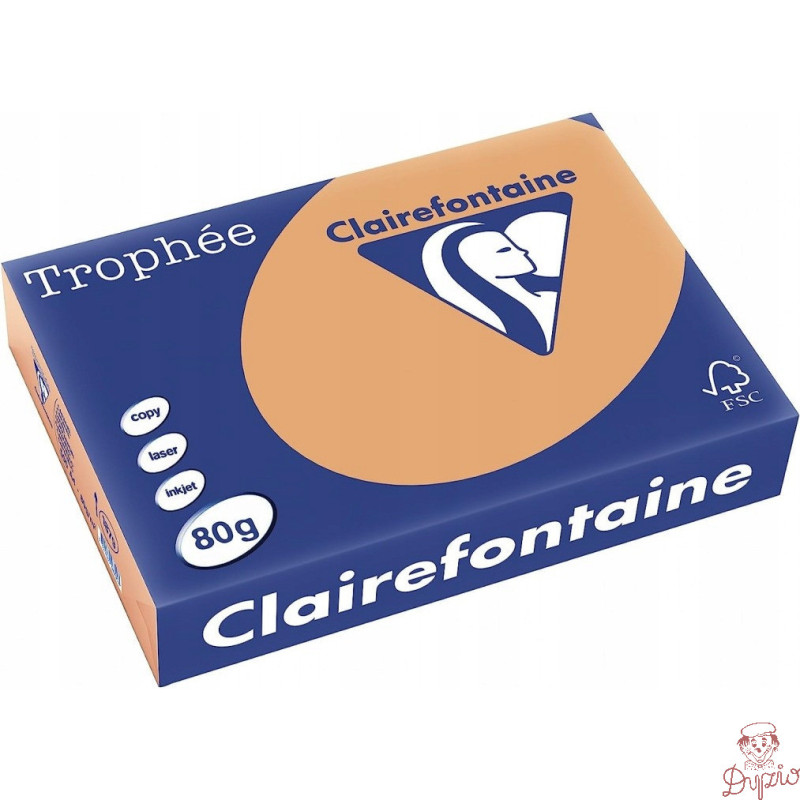 Papier ksero A4 80g TROPHEE brąz wielbłądzi XCA41879 CLAIREFONTAINE