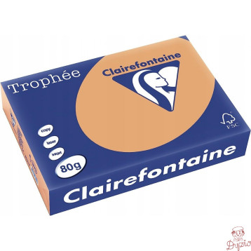 Papier ksero A4 80g TROPHEE brąz wielbłądzi XCA41879 CLAIREFONTAINE
