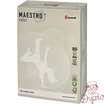 Papier ksero A4 80g MAESTRO COLOR GR21 Trendy szary