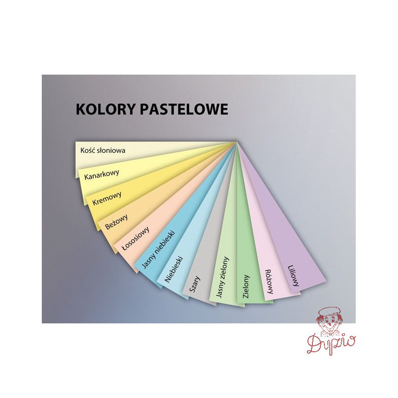 Papier ksero A4 160g EMERSON kość słoniowa 250ark xem416093 CR20