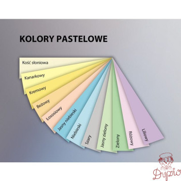 Papier ksero A4 160g EMERSON kość słoniowa 250ark xem416093 CR20