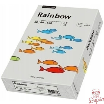 Papier ksero A4 80g RAINBOW R96 szary 88042805