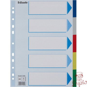 Przekładki plastikowe z PP A4 5 kart 15259 ESSELTE