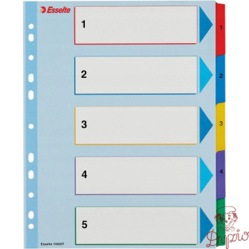 Przekładki kartonowe MYLAR A4 MAXI 1-5 ESSELTE 100207