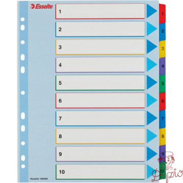 Przekładki kartonowe MYLAR A4 MAXI 1-10 ESSELTE 100208