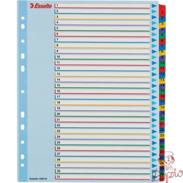 Przekładki kartonowe MYLAR A4 MAXI 1-31 ESSELTE 100210
