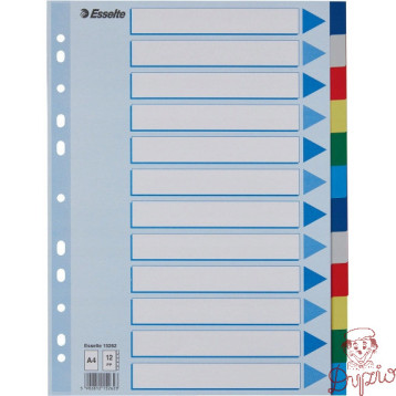 Przekładki plastikowe z PP A4 12 kart 15262 ESSELTE