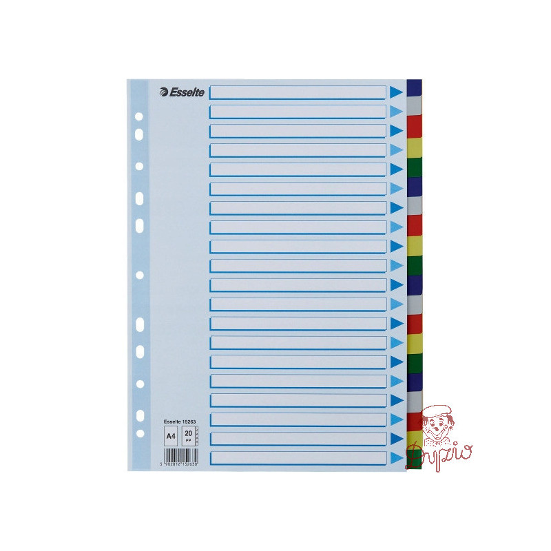 Przekładki plastikowe z PP A4 20 kart 15263 ESSELTE