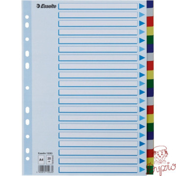 Przekładki plastikowe z PP A4 20 kart 15263 ESSELTE