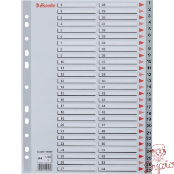 Przekładki plastikowe numeryczne A4 1-54 szare ESSELTE 100109