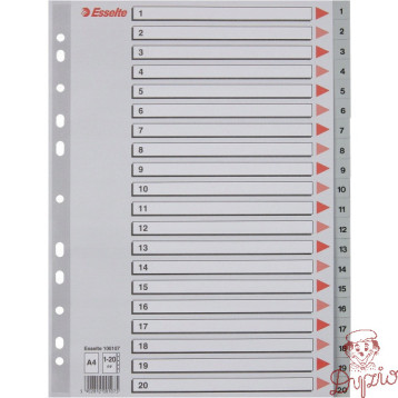 Przekładki plastikowe numeryczne A4 1-20 szare ESSELTE 100107