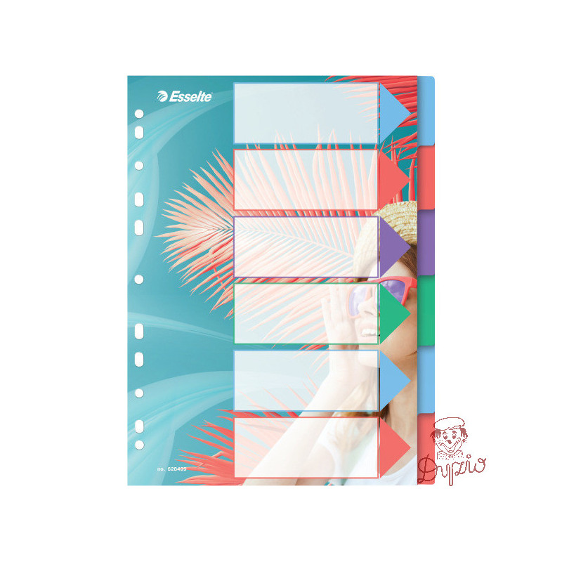Przekładki Colour`Breeze PP A4 6 przekładek 628499 ESSELTE