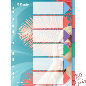 Przekładki Colour`Breeze PP A4 6 przekładek 628499 ESSELTE