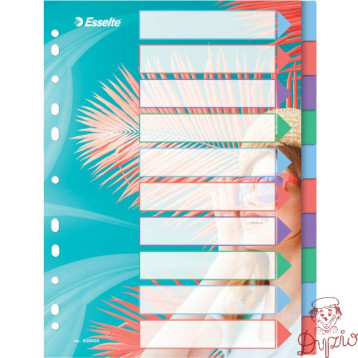 Przekładki Colour`Breeze PP A4 10 przekładek 628500 ESSELTE